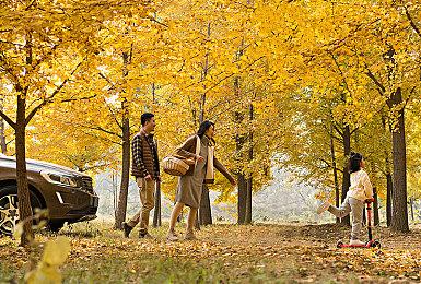 像素风RPG《PARTY RUSH!!》现已在Steam发售 支持中文